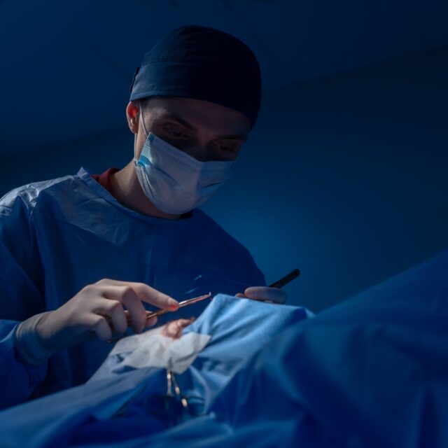 https://carebridgeus.com/wp-content/uploads/2026/05/plastic-surgery-carebridge-640x640.jpg